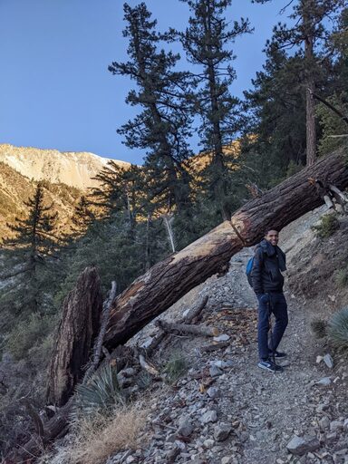 baldy2