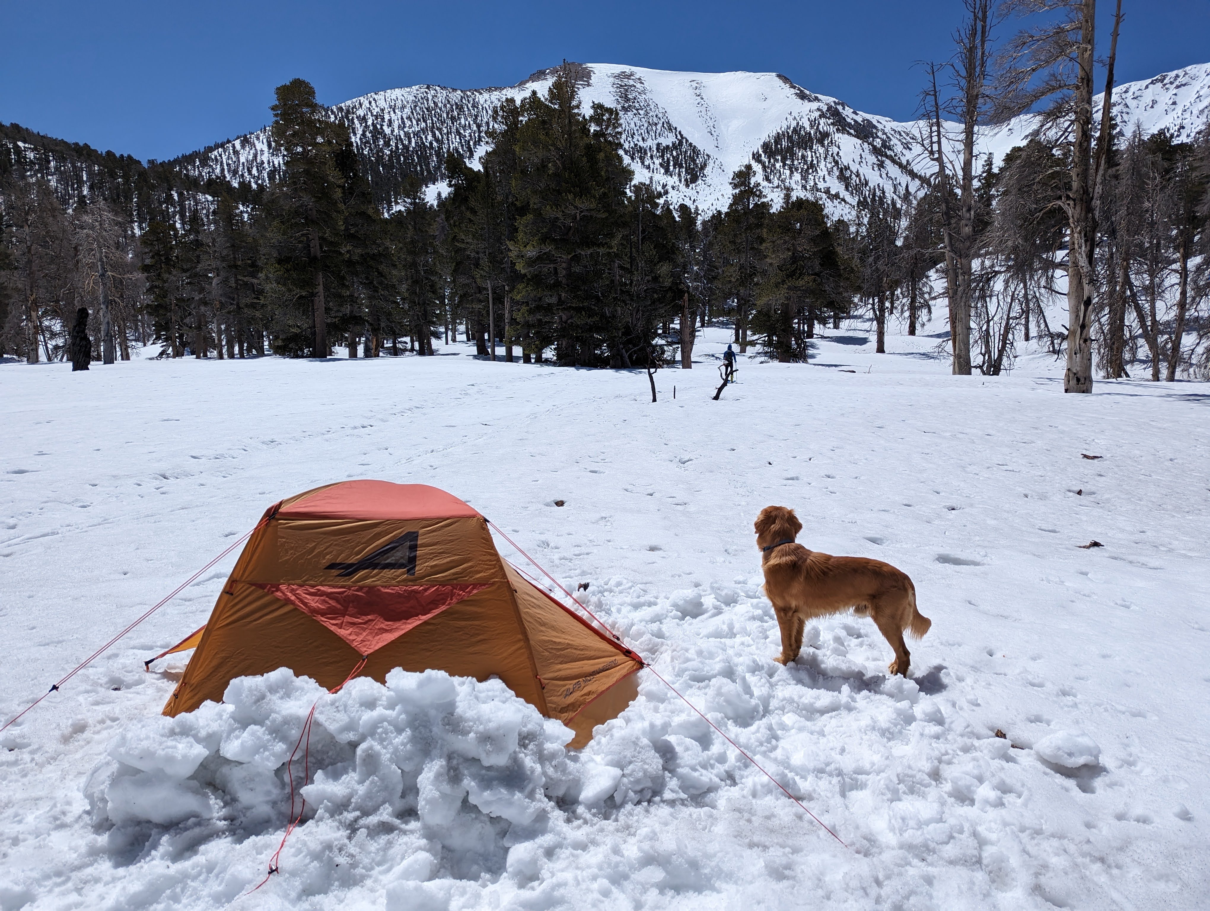 A pretty tent